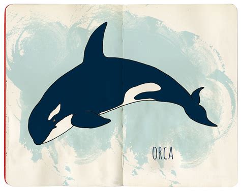 Orca Killer Whale Касатка Tata Biserova Flickr