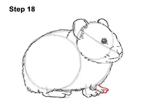 How To Draw A Pika Video And Step By Step Pictures