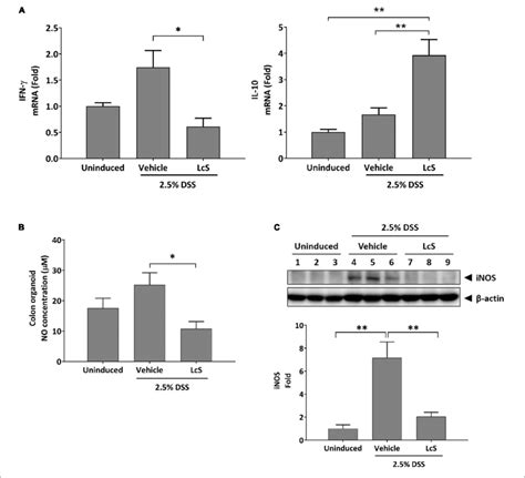 Lcs Modulated Inflammatory Mediator Production Gene Expression