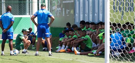 Saiba Quais Posições O Palmeiras Pretende Reforçar Em 2025 Ptd