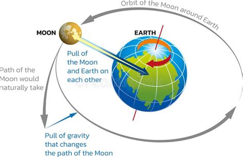 Earth Moon Tides Stock Illustrations – 55 Earth Moon Tides Stock Illustrations, Vectors ...