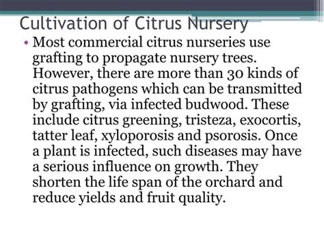 Cultivation Of Citrus Nursery Ppt