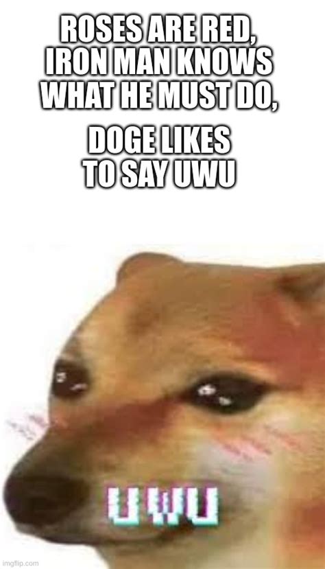 Uwu Imgflip