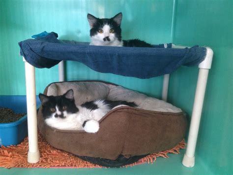 Large Cat Hammocks - Home or Shelter Use : 23 Steps - Instructables