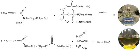 High Performing Monomers And Polymers From Plant Oils Research Outreach