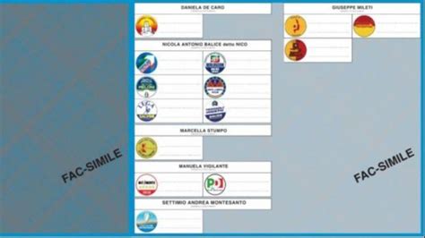 Termoli Elezioni Amministrative Istruzioni Per L Uso