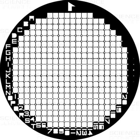 Tem Grids Finder 200 Mesh Square Au 25 Pieces