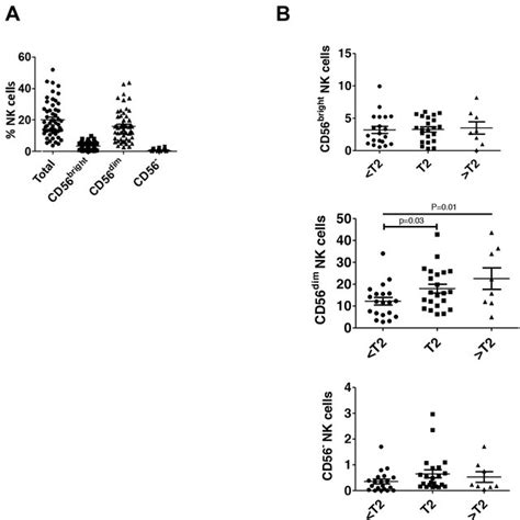 CD56 Dim NK Cells Are Increased In Higher Stage Bladder Tumors Human