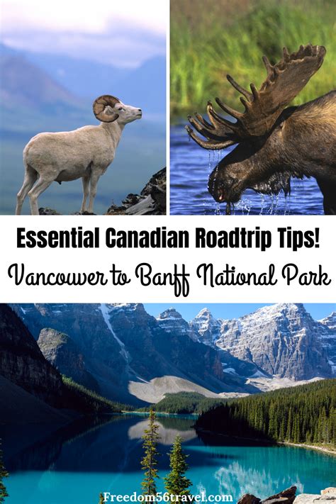 Vancouver To Banff Drive Easy Canadian Rockies Itineraries Artofit