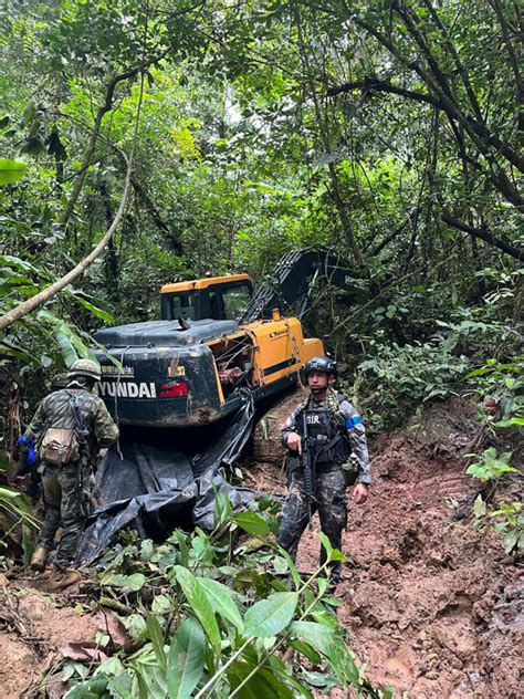 Minería Ilegal Avanza Sin Control En La Amazonía De Ecuador Y Amenaza