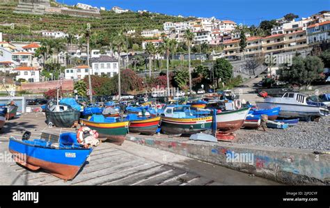 Colorful Boats Parked In The Port Of Camara De Lobos On The Island Of