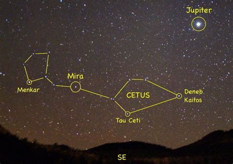 Tau Ceti - Alchetron, The Free Social Encyclopedia