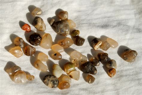 Where To Find Oregon Agates Plus Tips For Finding Them