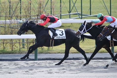 【新馬 京都4r】ジョーカプチーノ産駒 アスタールフナが差し返してv ライブドアニュース