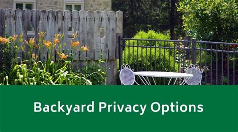 Backyard Privacy Options - Evergreen Landscaping