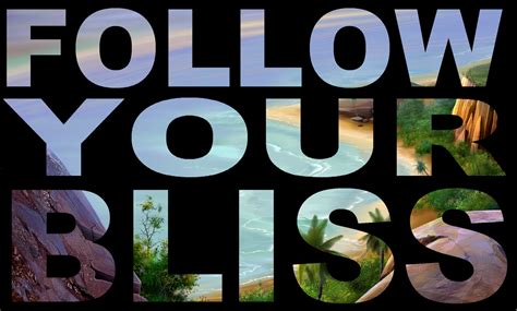 Follow Your Bliss? - AARON DAVISON.NET