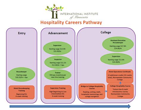 12 Examples Of Health Career Pathways