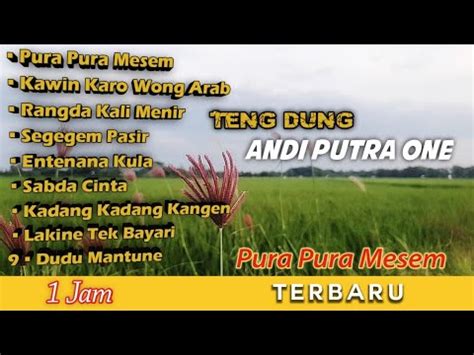 KUMPULAN LAGU ANDI PUTRA 1 TENG DUNG TERBARU Pura Pura Mesem Ulfi