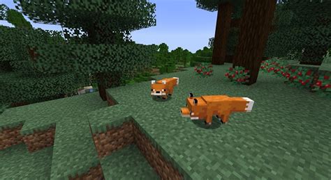 How To Breed And Tame A Fox In Minecraft Easy Guide