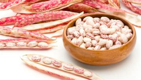 Fagioli borlotti proprietà calorie posso mangiarli a dieta