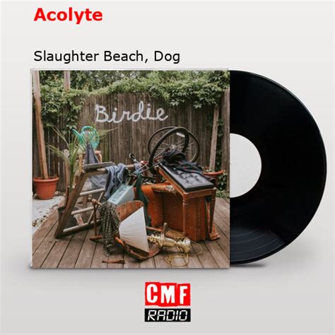 La historia y el significado de la canción Acolyte Slaughter Beach