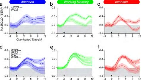 Figure 1 From Prioritized Maps Of Space In Human Frontoparietal Cortex Semantic Scholar