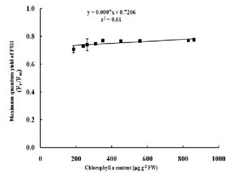 Relationship Between Chlorophyll A Chl A Content And Maximum Quantum