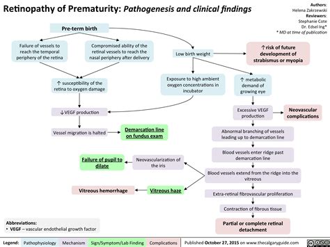 Retinopathy Of Prematurity Pathogenesis And Clinical Findings Calgary Guide