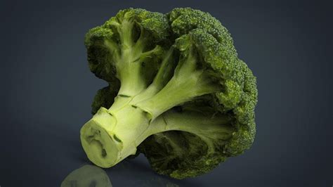 Broccoli 3d Model By Sanchiesp