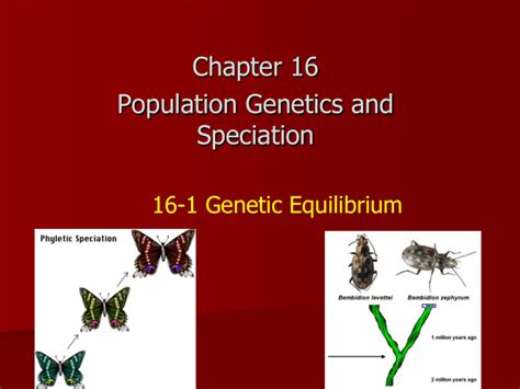 16 1 Genetic Equilibrium