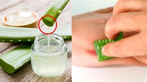 7 Reasons To Rub Aloe Vera On Your Face And Skin Aloe Vera Benefits