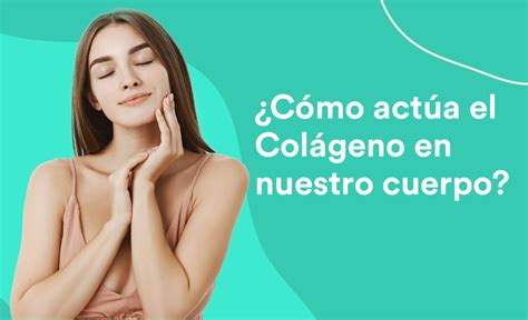 Cómo actúa el colágeno en nuestro cuerpo Colageno