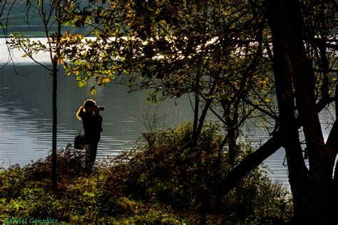 Free Images Landscape Tree Water Nature Forest Sunlight Morning