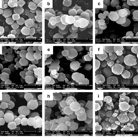 Scanning Electron Micrographs Of The Crystalline End Products Zeolite