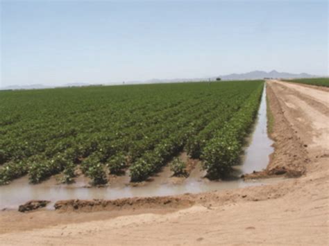 Surface Irrigation Systems | Oklahoma State University