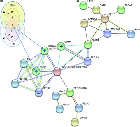 Integration Analysis Of The Gwas Rna Seq And Protein Protein Download Scientific Diagram