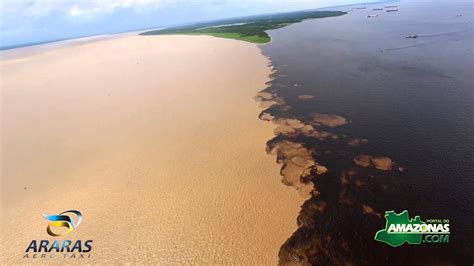 Encontro Do Rio Amazonas Com O Mar - Encontro das Águas - Amazonas - YouTube