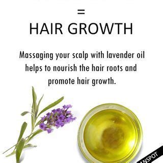 Lavender essential oil for hair growth - Hair Growth – Lavender ...