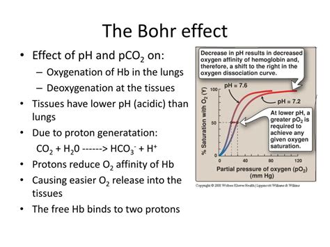 Ppt Structure And Function Of Hemoglobin Powerpoint Presentation