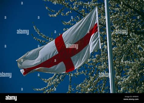 English National Flag of St George, near Esher, Surrey, England, UK ...