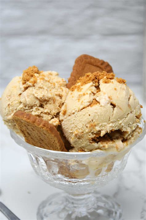 Biscoff Ice Cream V2 Culinary Shades