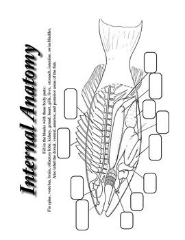 Fish Anatomy Worksheets