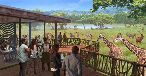 Saint Louis Zoo Wildcare Park Bringing Safari Experience To Town