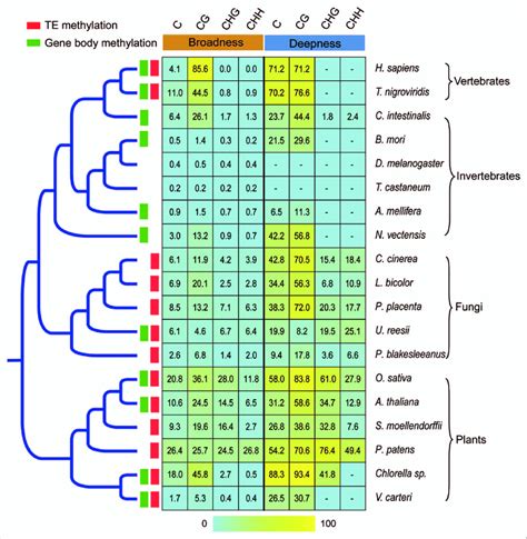 Evolution Of Dna Methylation Level Of The Available Eukaryote