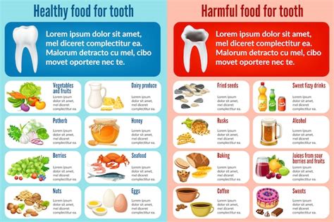 Free Vector Best And Bad Food For Teeth