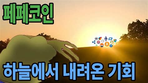 페페코인 드디어 하늘에서 기회가 내려왔다 페페코인 다들 집중 YouTube