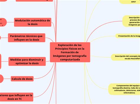 Exploración de los Principios Físicos en l Mind Map