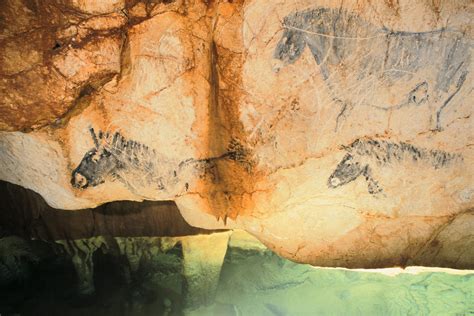 Cosquer, the prehistoric cave under the sea - Official website