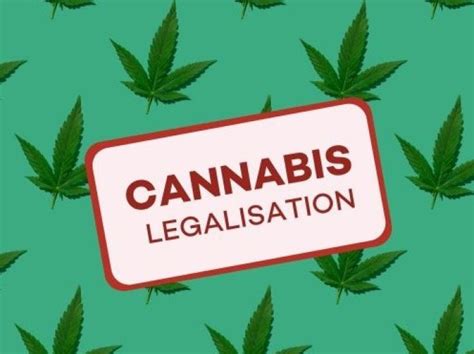 Historia Prawnej Regulacji Marihuany W Polsce Cannabis News