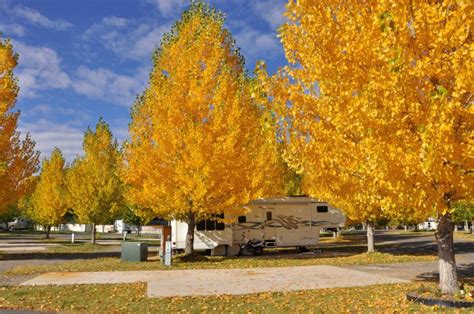 Colorado Camping & Stunning Aspen Leaves | Camp Colorado